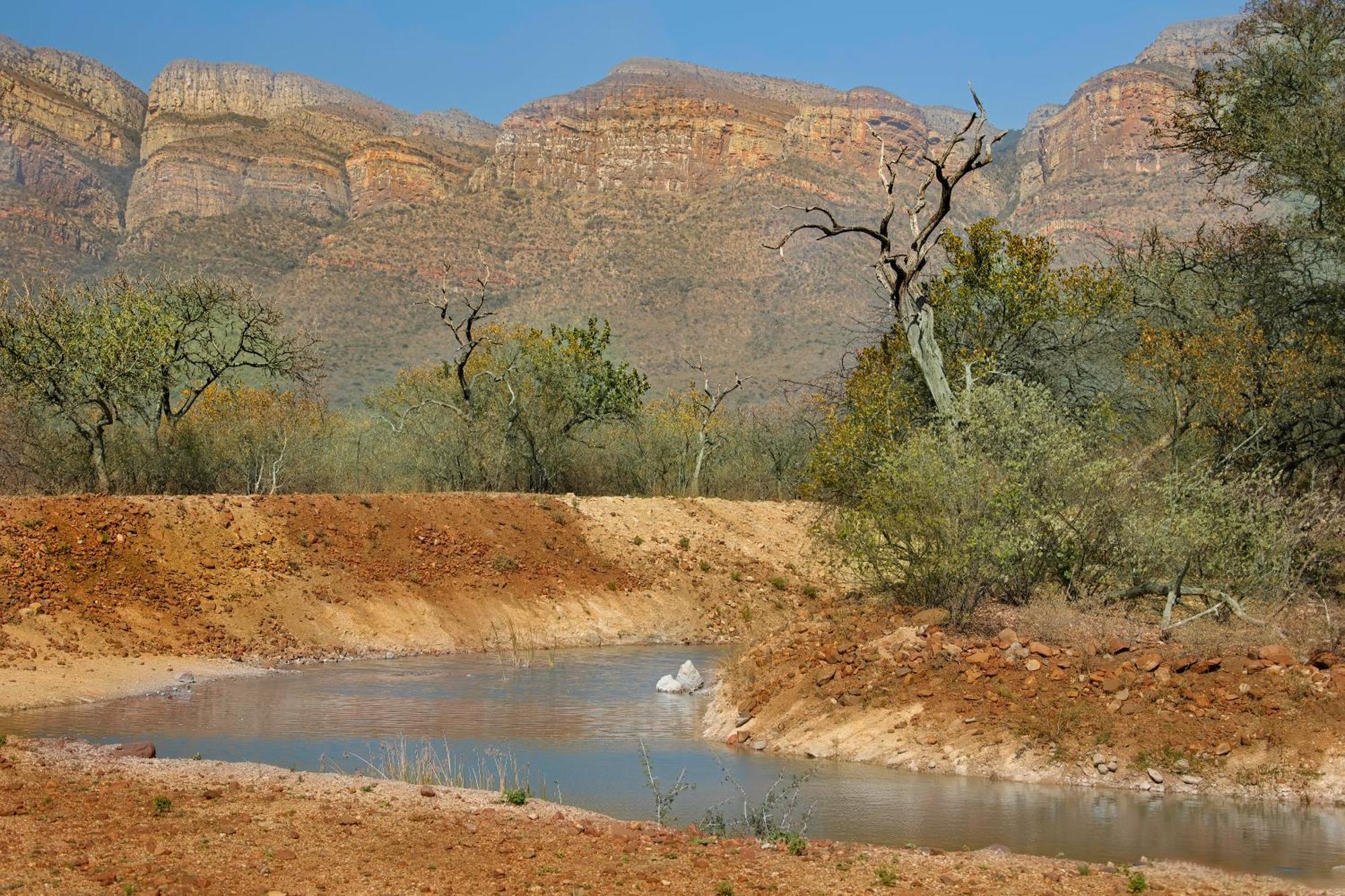 African Dream Tour Hoedspruit Exterior photo