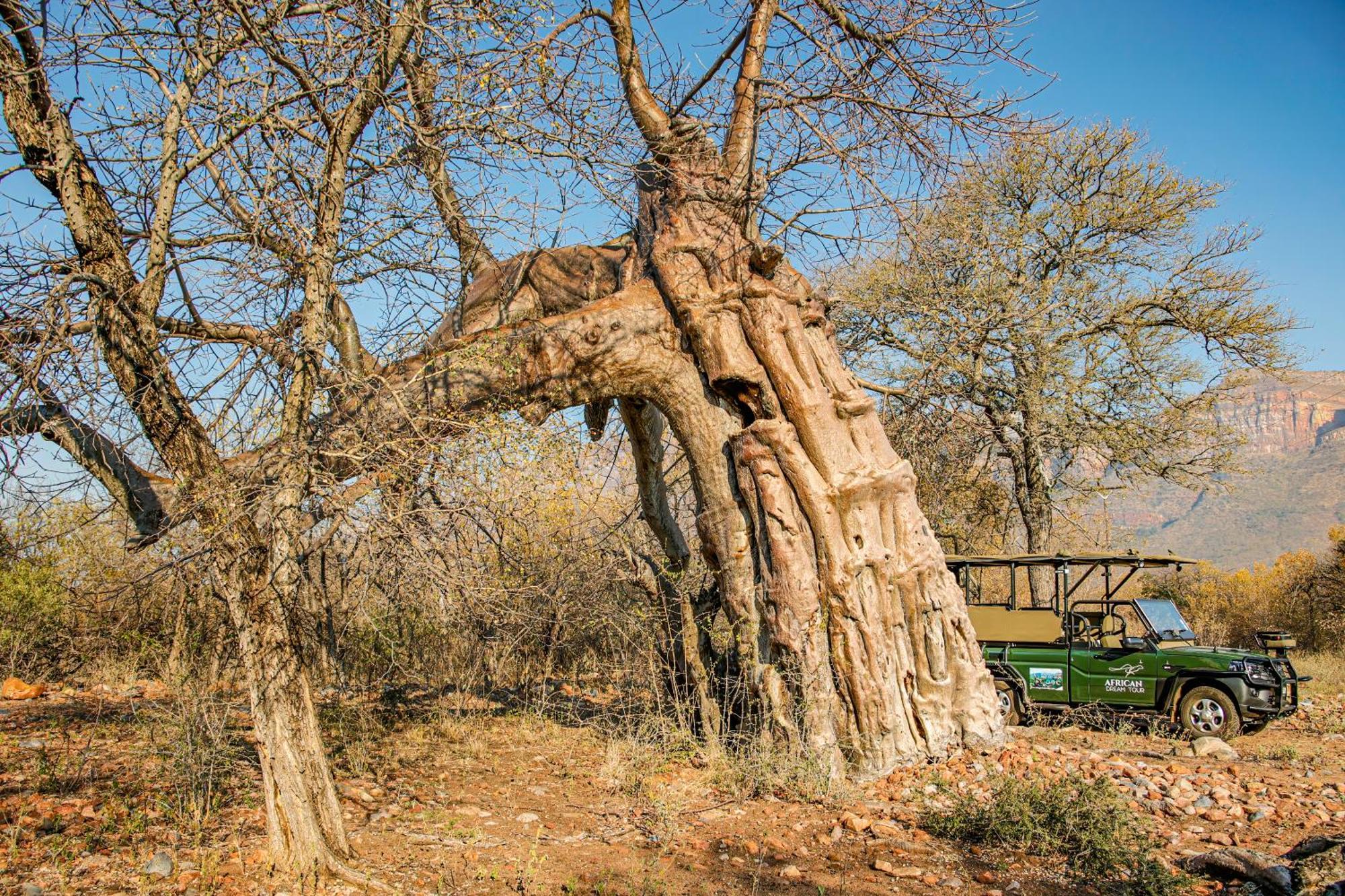 African Dream Tour Hoedspruit Exterior photo